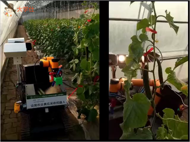 蔬果自动采摘机器人