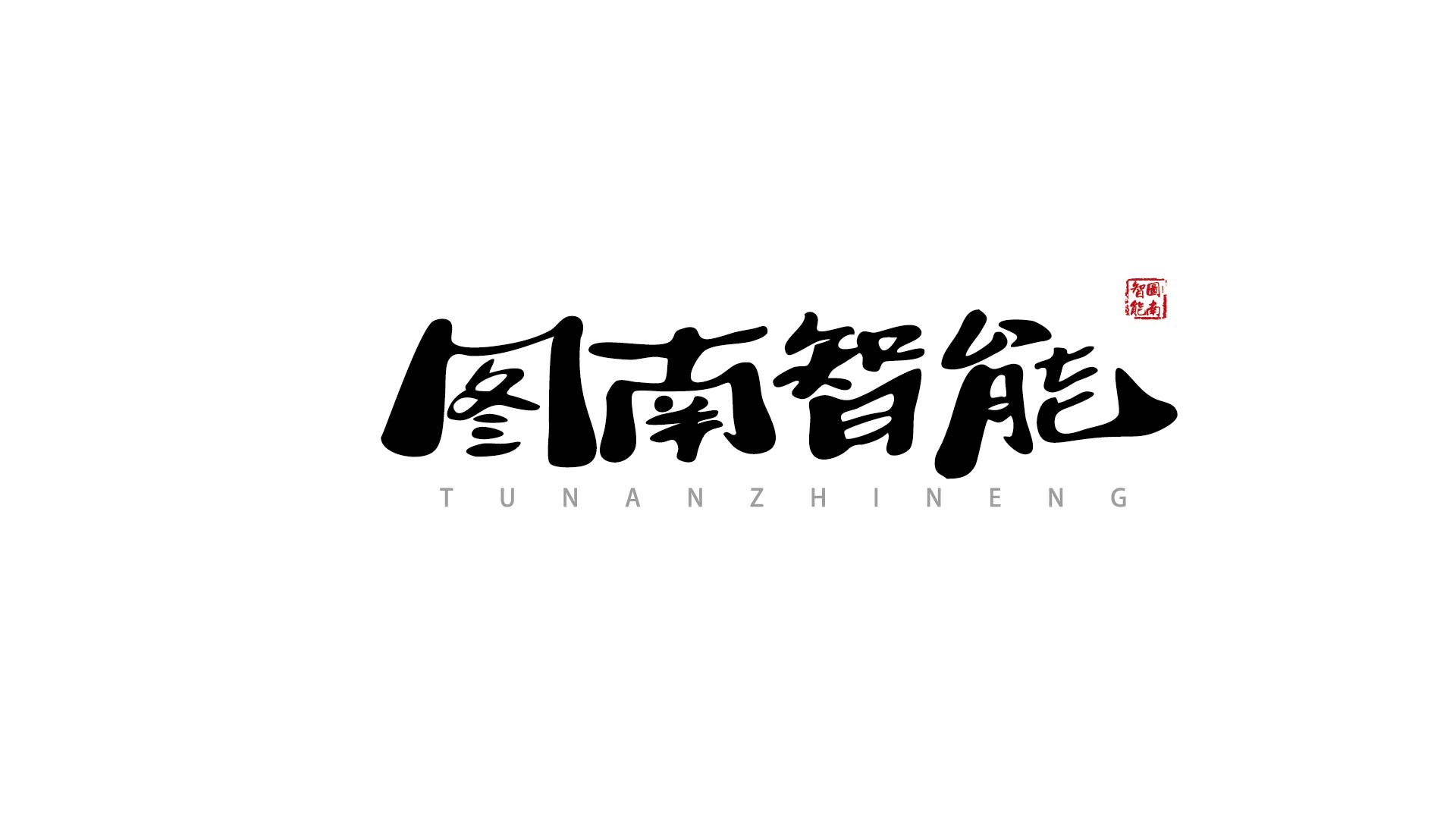 天津图南国际智能科技有限公司