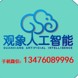 武汉观象人工智能技术有限公司
