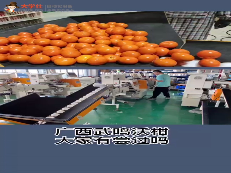 ZS-450X三伺服柠檬橙子沃柑水果全自动包装机