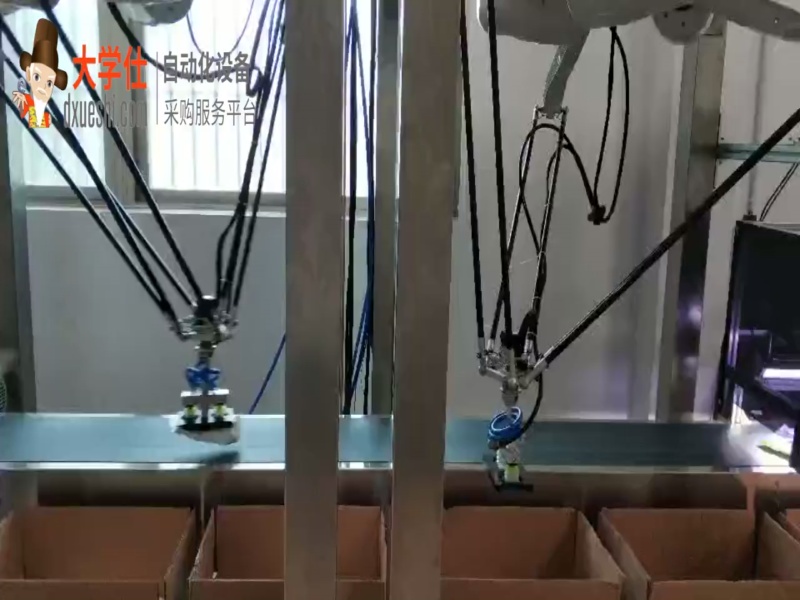 食盐机器人自动装箱机