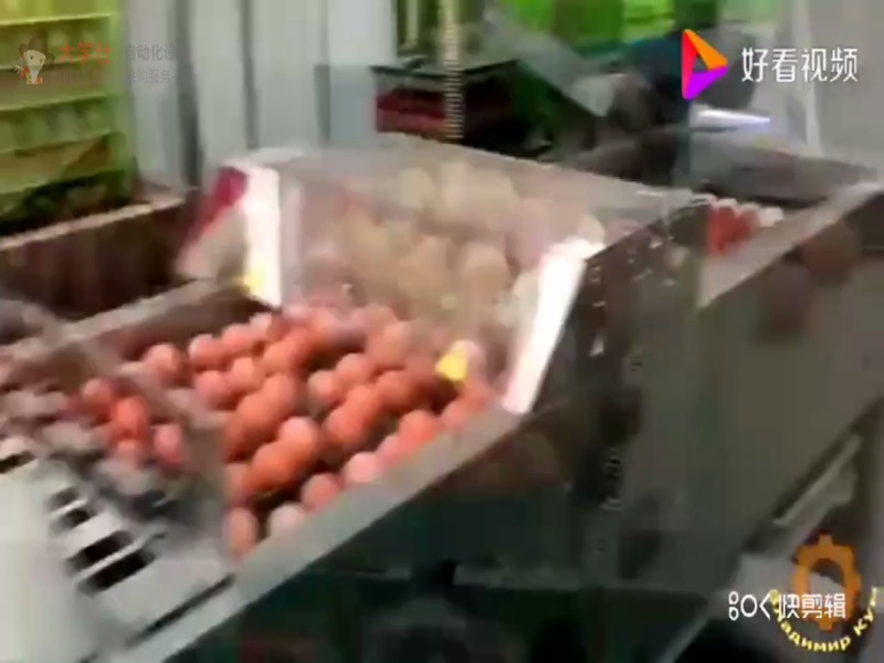 鸡蛋抓取设备