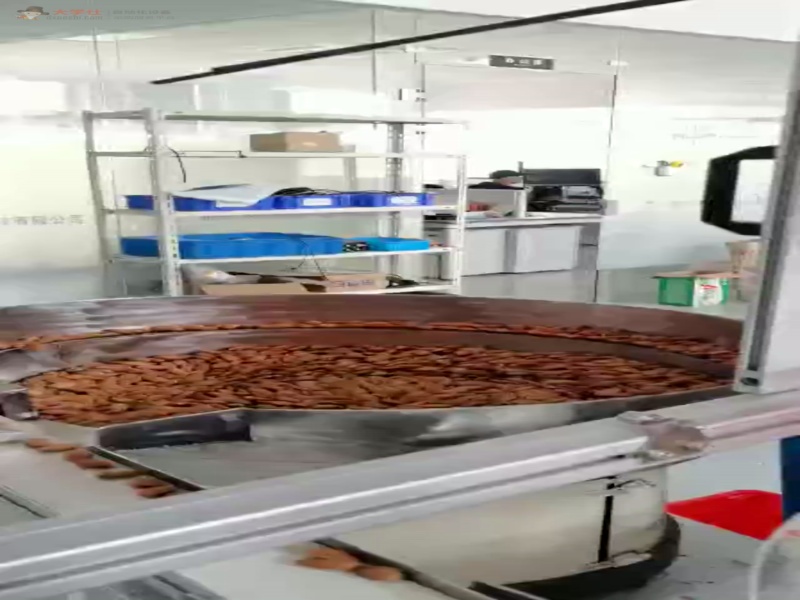 巴旦木 扁桃仁 杏仁 视觉分选